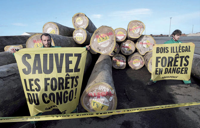 Exploitation illégale des forêts : 150 milliards de pertes fiscales dans le Bassin du Congo