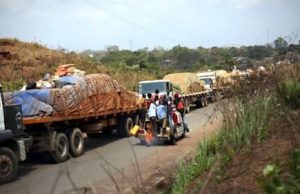 Corridor Douala-Ndjamena : les fruits tiennent la promesse des fleurs