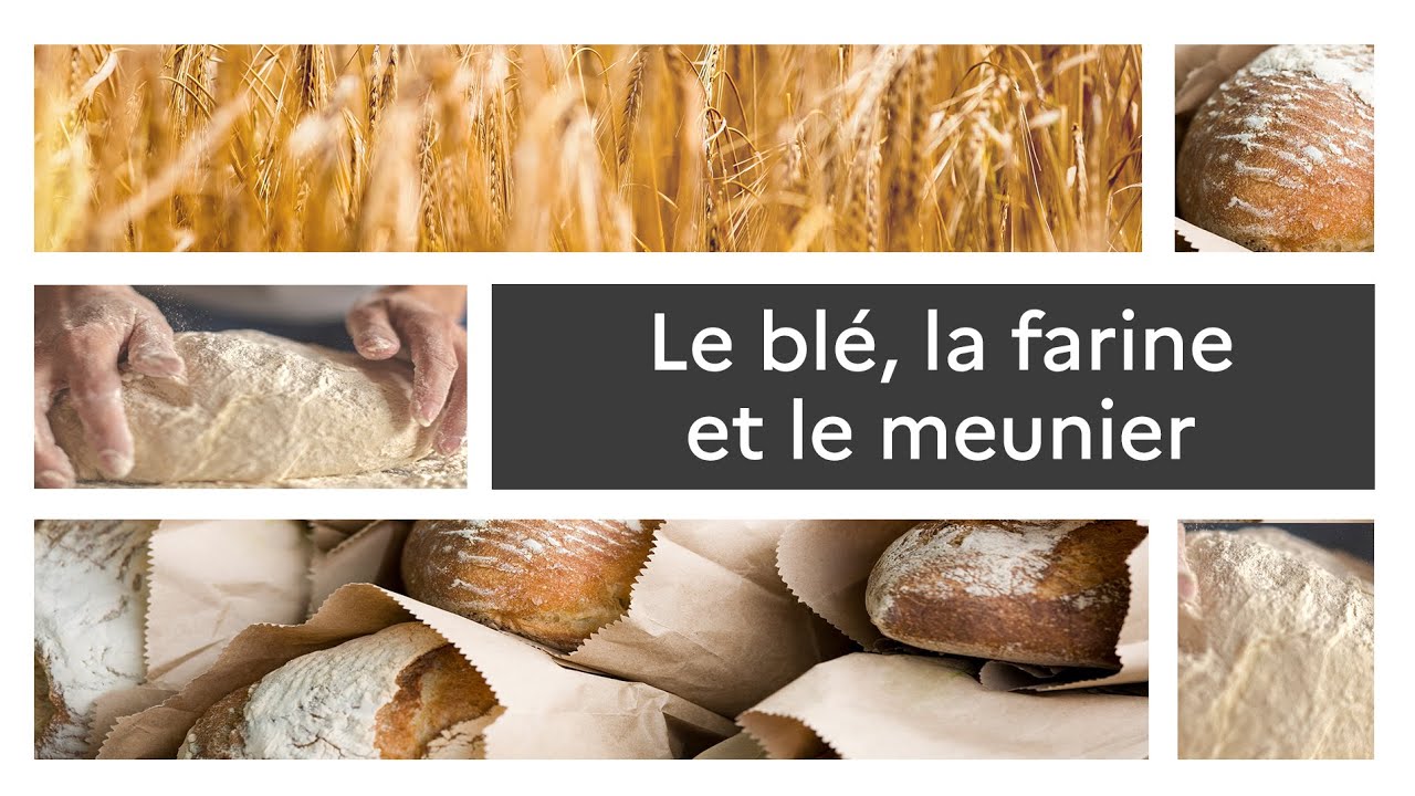 Farine de blé : L’État au four,  les meuniers au moulin