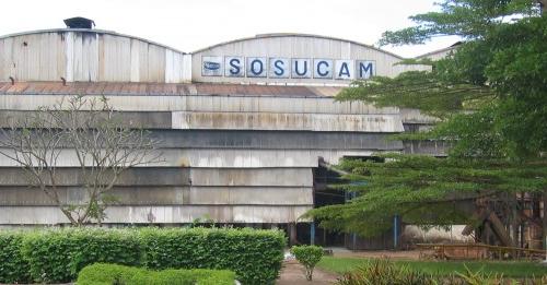 Sosucam : l’usine de Mbandjock temporairement hors service