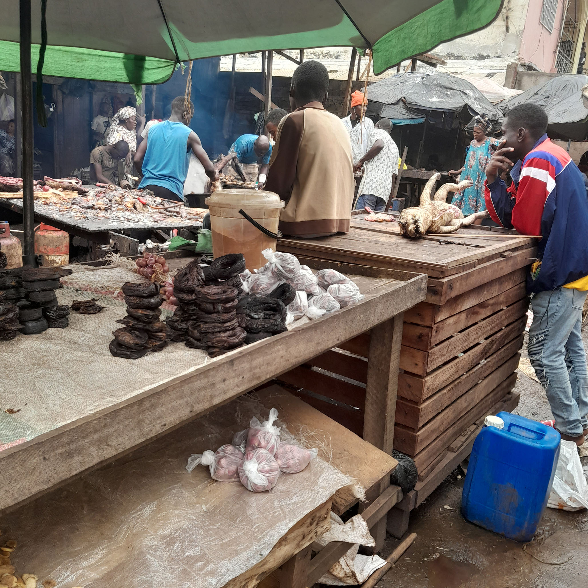 Vente de gibier à Yaoundé : au marché noir des espèces protégées