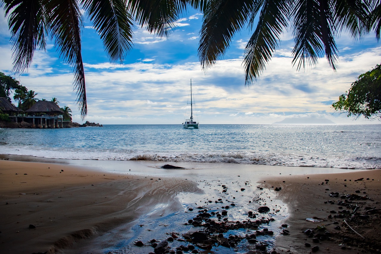 Entre Golfe de Guinée et Sanaga. Les moules perlières peuvent elle renouer avec l’âge d’or des monnaies coquillages ?