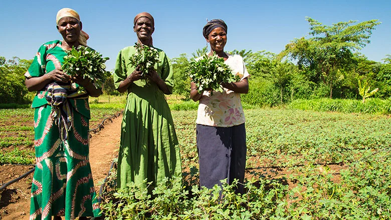 Production des engrais : l’agriculture intelligente pour faire de la sous-région un géant