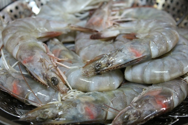 Exportations de crevettes: le Cameroun se met aux normes