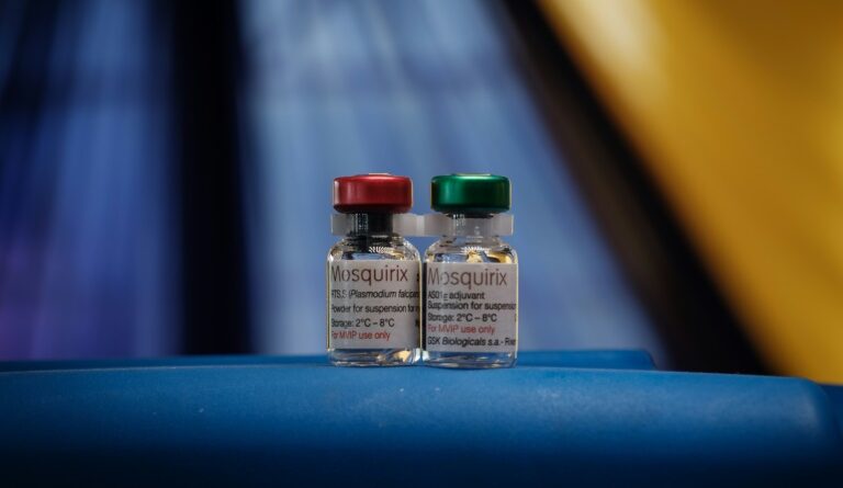 le Cameroun introduit le vaccin contre le paludisme Mosquirix RTS dans ses programmes ce lundi 22 janvier 2024