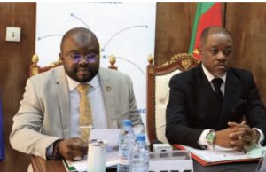 Développement socioéconomique du Cameroun : la diaspora mise au centre d’une stratégie