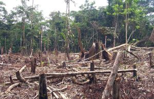 Réforme foncière : application effective dès le 1er juillet 2025