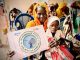 Lancement d’une campagne de vaccination synchronisée contre la polio dans les pays du bassin du lac Tchad