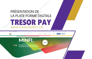 Renforcement de la traçabilité financière au Cameroun : désormais le paiement se fait sur Tresorpay