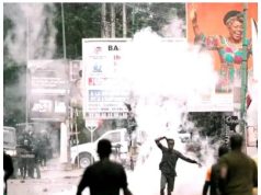 Prestation de serment du président de la République : partisans et opposants devant le petit écran