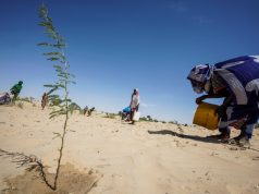 Climat : le monde renonce, l’Afrique encaisse…