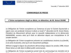 Mort en détention d’anicet Ekane : le choc politique qui secoue l’Etat, divise la diplomatie et met le régime sous pression