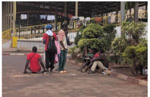Jeunesse camerounaise : discours national contre réalités du terrain